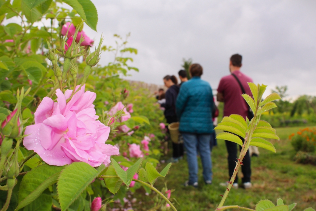 Visita guiada por el Jardín Municipal Agroecológico