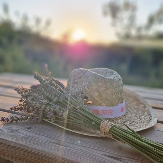 Las lavandas: el aroma más relajante