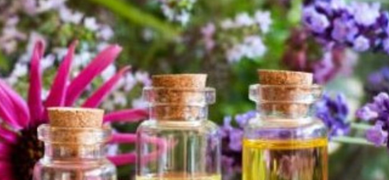 "Farmaciola de primavera-estiu"