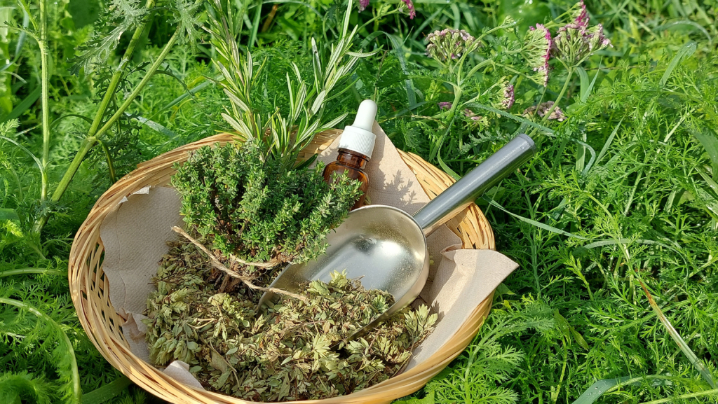 Farmaciola natural tardor-hivern
